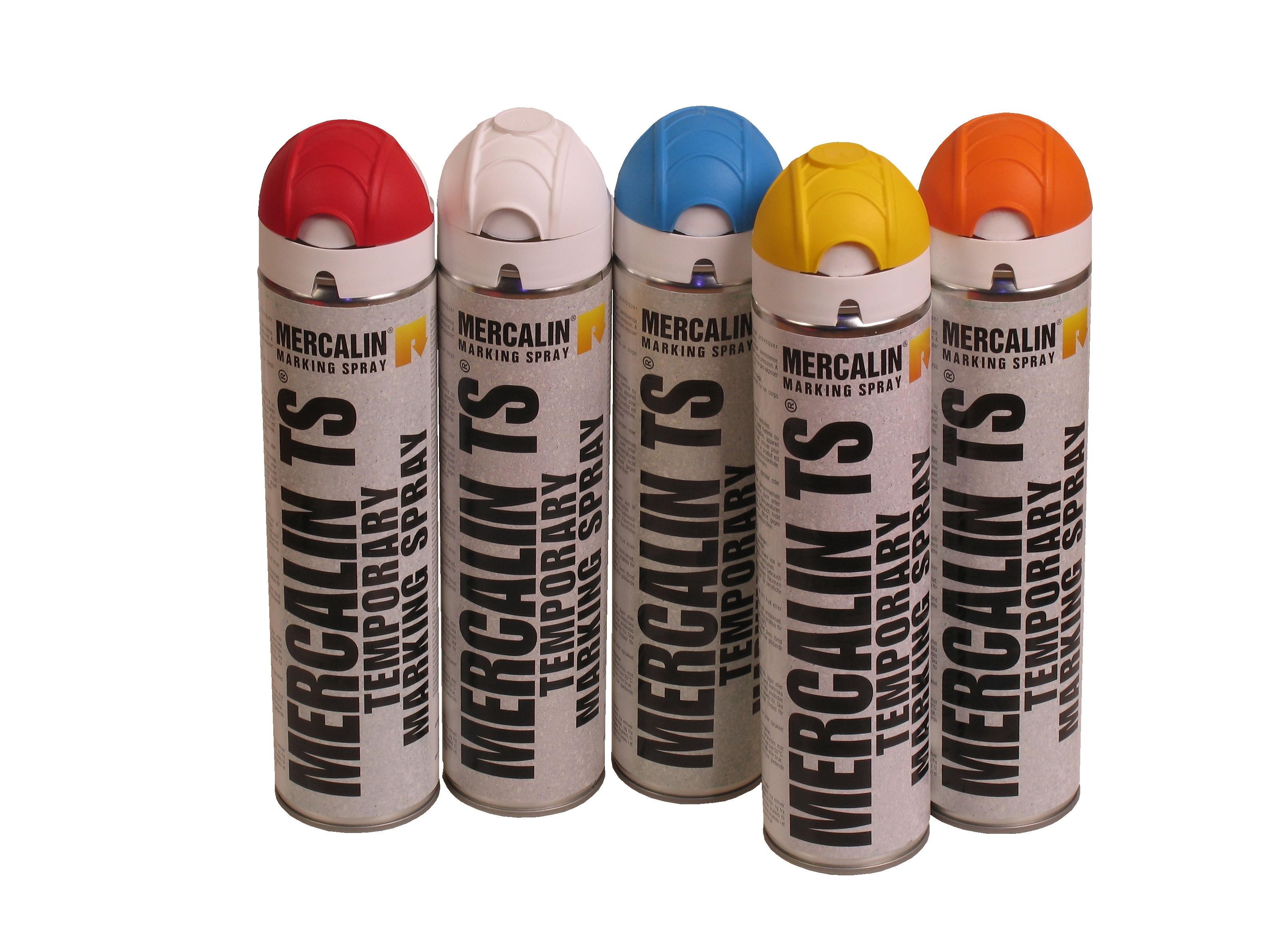 Wegenverf TS oranje kalk spuitbus 600 ml (gv)